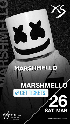 Las Vegas Dj GIF by Subskile