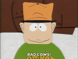 GIF by South Park 