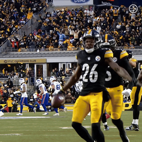 Excited Celebration GIF by Pittsburgh Steelers