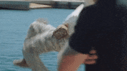 Water Flip GIF by Reality Club FOX
