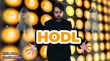 Bitcoin Hold GIF