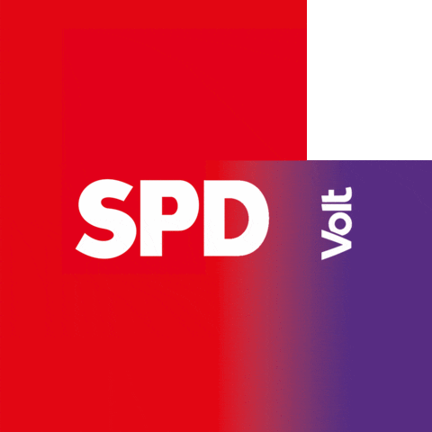 SPD_Fraktion_Muc giphyupload spd muenchen volt GIF