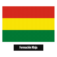 Flag Pixel Art Sticker by Formación Ninja