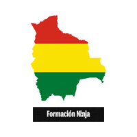 Flag Bandera Sticker by Formación Ninja