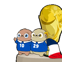 France Football Sticker by Fugz Official
