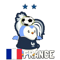 France Football Sticker by Pudgy Penguins