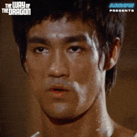 Lets Go Fighting GIF by Arrow Video