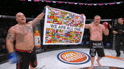 fight mma GIF by Bellator