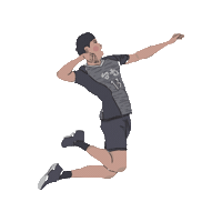 chengchengzz 排球 台電 台電男排 Sticker