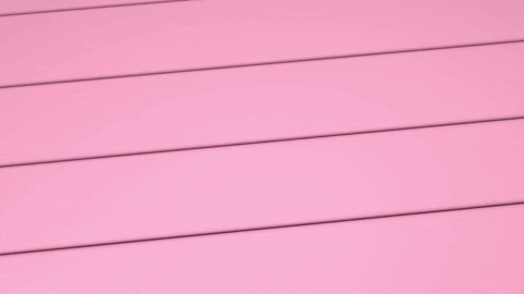 dionluijten giphygifmaker dionluijten GIF