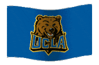 graphics college STICKER