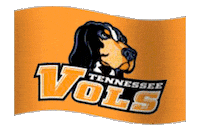 graphics college STICKER