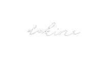 Pidgin Dakine Sticker