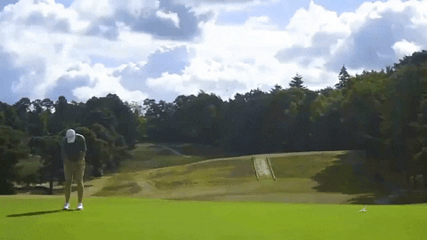 EnveeGolf giphygifmaker GIF