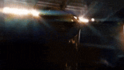 Hard Rock Beach GIF by College Football Playoff