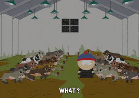 stan marsh GIF by South Park 