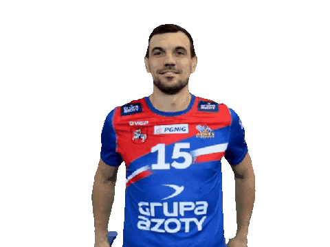 Handball Pgnigsuperliga Sticker by KS Azoty-Puławy S.A.