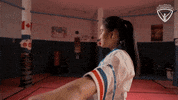 Karate Arc GIF by All-Round Champion