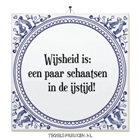 Winter Humor Sticker by Tegelspreuken.nl