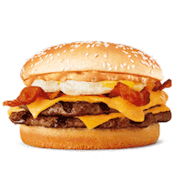 burgerkinguy burgerkinguy Sticker