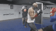 ufc sports sport ufc mma GIF