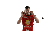 Handball Skibrille Sticker by tusnluebbecke