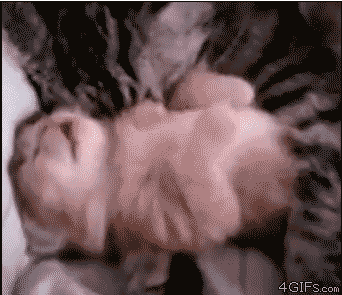 tomorrow GIF