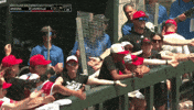 College Baseball GIF by NCAA Championships