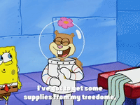 season 4 GIF by SpongeBob SquarePants