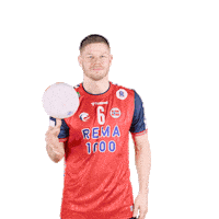 Handball Nhf Sticker by Norges Håndballforbund