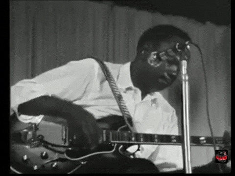 Blues GIF by John Lee Hooker
