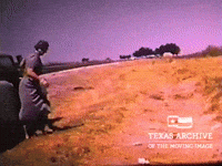 Travel Roadtrip GIF by Texas Archive of the Moving Image