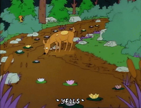 Season 1 GIF by The Simpsons