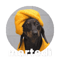 Martedi Sticker by Sealed With A GIF