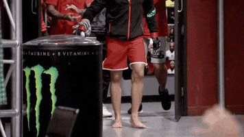 the ultimate fighter redemption GIF