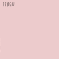 Penguin See GIF by Pudgy Penguins