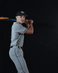 Baseball Swing GIF by Purdue Fort Wayne Athletics