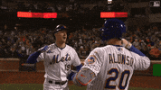 Happy Ny Mets GIF by New York Mets
