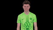 Lets Go Bundesliga GIF by VfL Wolfsburg