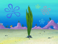season 7 episode 21 GIF by SpongeBob SquarePants