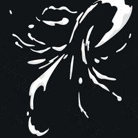 Animation Motion GIF by Winston Duke