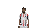 Tricolores Kingside Sticker by Willem II