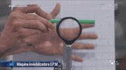 el hormiguero luz GIF