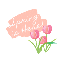 Spring Tulips Sticker by MOLLIE