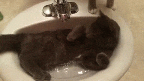 tub GIF