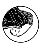 Sleepy Black Cat Sticker