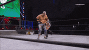 Aew GIF by ALL ELITE WRESTLING
