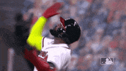 Major League Baseball Sport GIF by MLB