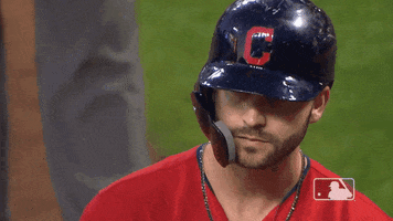 Regular Season Smile GIF by MLB
