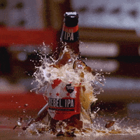 India Pale Ale Craft Beer GIF by Samuel Adams Beer